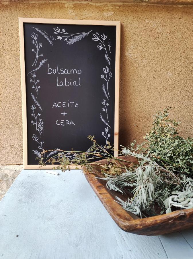 Apartamento Guara Viva *