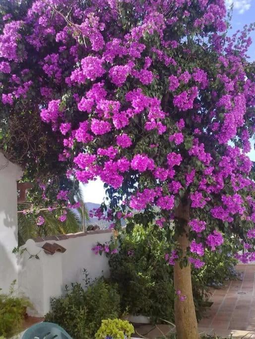 La Villa, Rural Holiday home