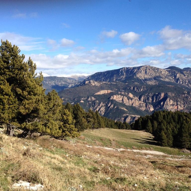Lladoner Sant Llorenc de Morunys