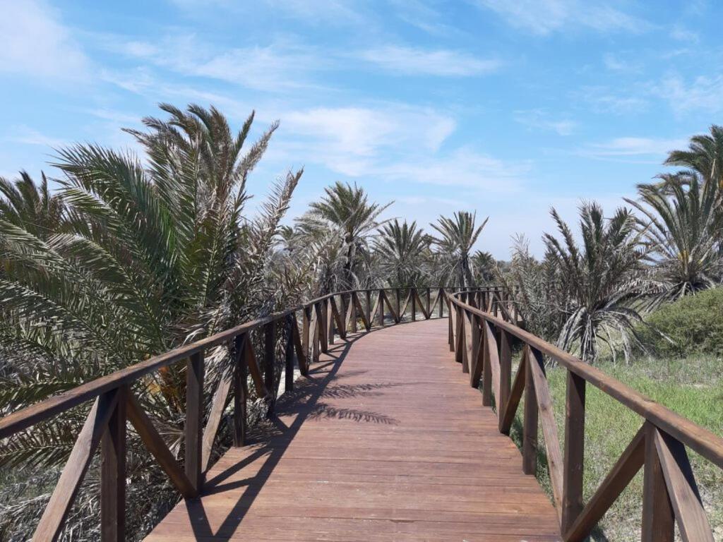 Bajo Con Gran Terraza En Ribera De Apartamento Cabanes (Valencia)