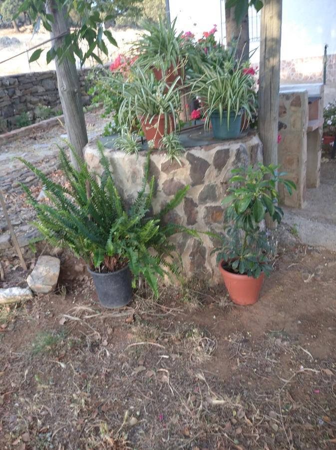Casa El Tio Juan Сasa de vacaciones