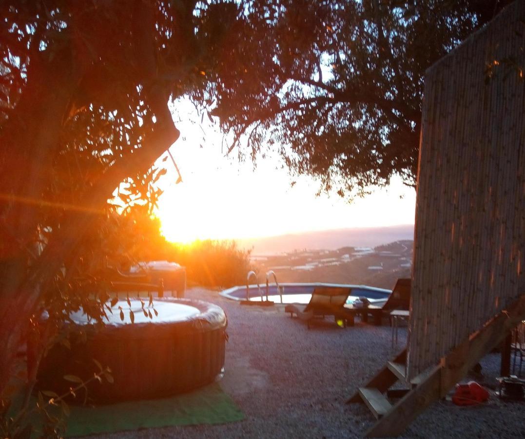 Treehouse ,casa Arbol, With