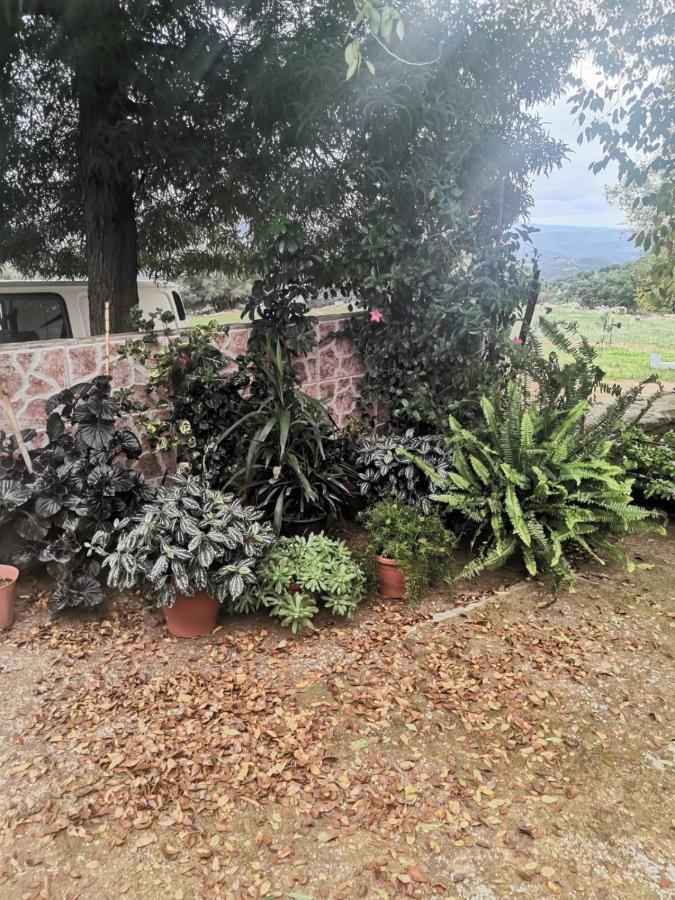 Сasa de vacaciones Casa El Tio Juan Cumbres de San Bartolomé