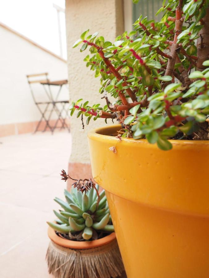 La Rambla - Licorella - 4 Persones Apartamento Cornudella de Montsant