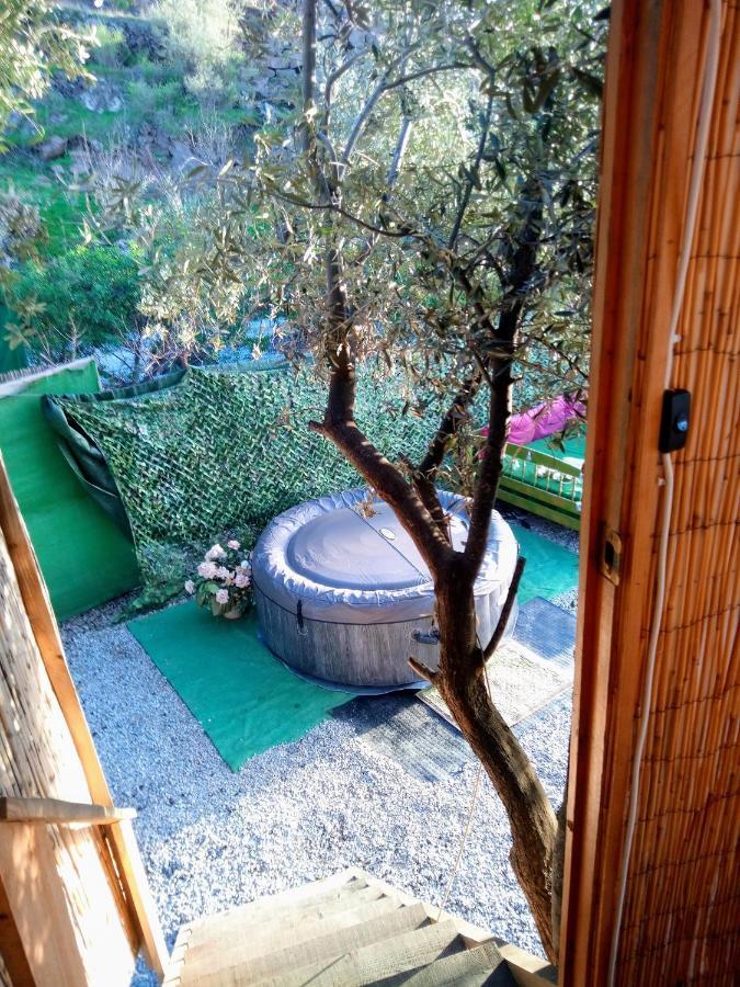 Chalet Treehouse ,casa Arbol, With