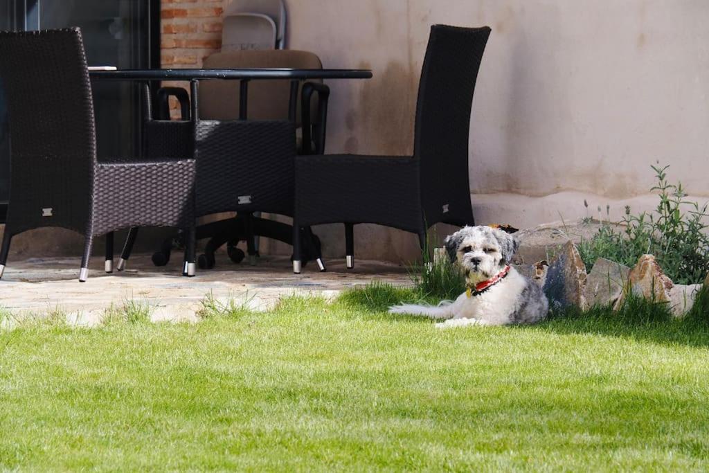 Mandres. Casa Con Jardin Y Piscina. Proximo A Puy Du Fou. Apartamento
