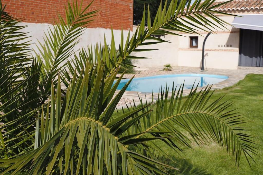 Mandres. Casa Con Jardin Y Piscina. Proximo A Puy Du Fou. * Totanés