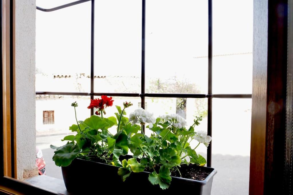 Mandres. Casa Con Jardin Y Piscina. Proximo A Puy Du Fou. Apartamento *