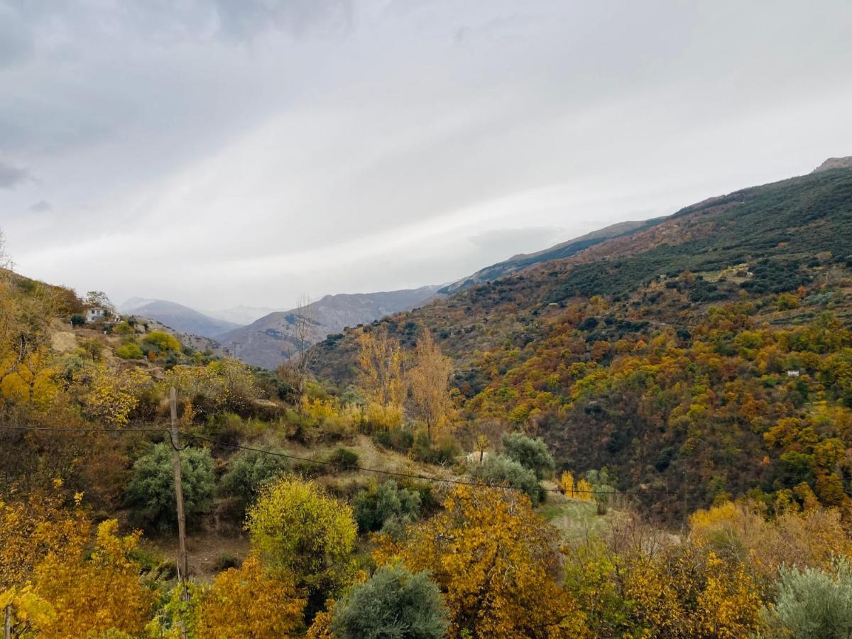 El Hogar De Mercedes * Güéjar Sierra