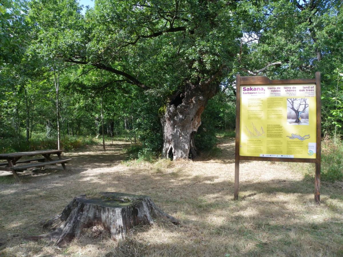 Herri Ondo Refugio Climatico