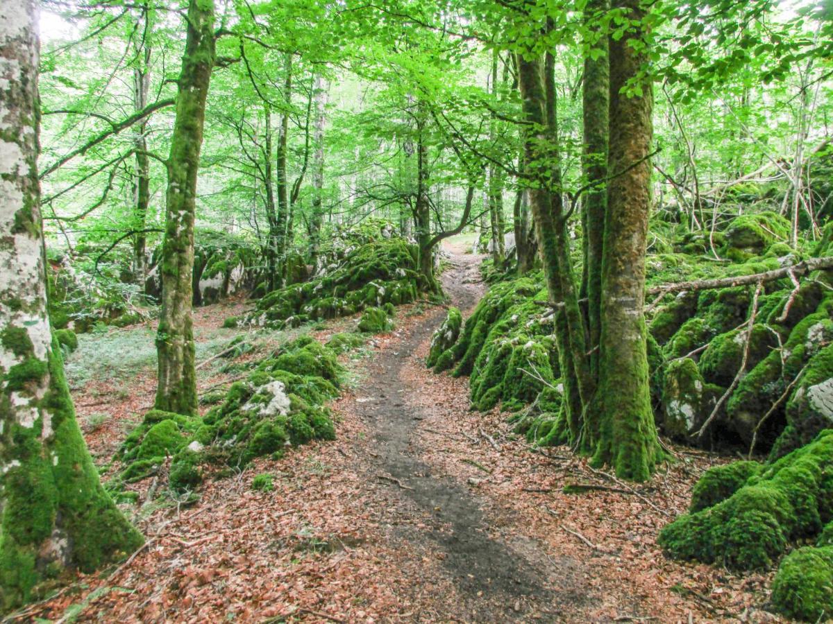 Herri Ondo Refugio Climatico