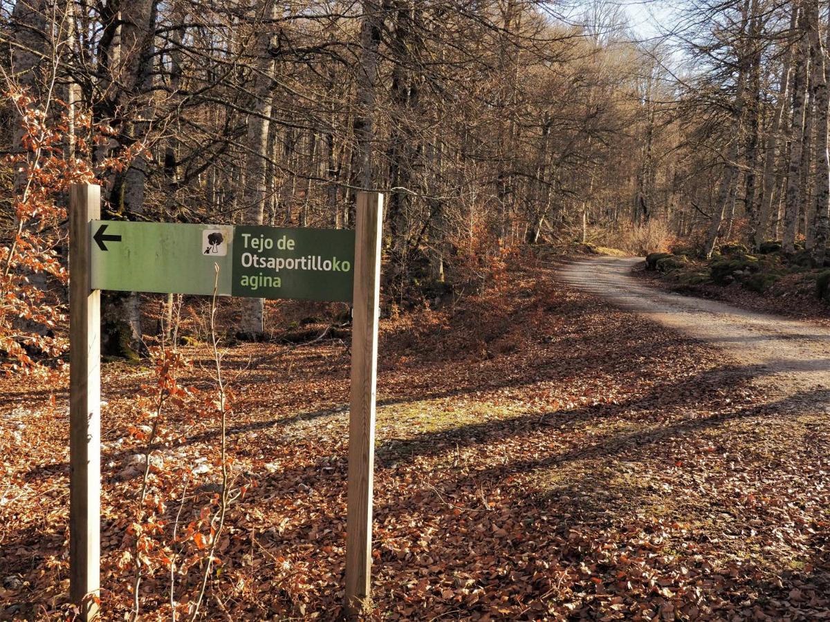 Herri Ondo Refugio Climatico Iturmendi