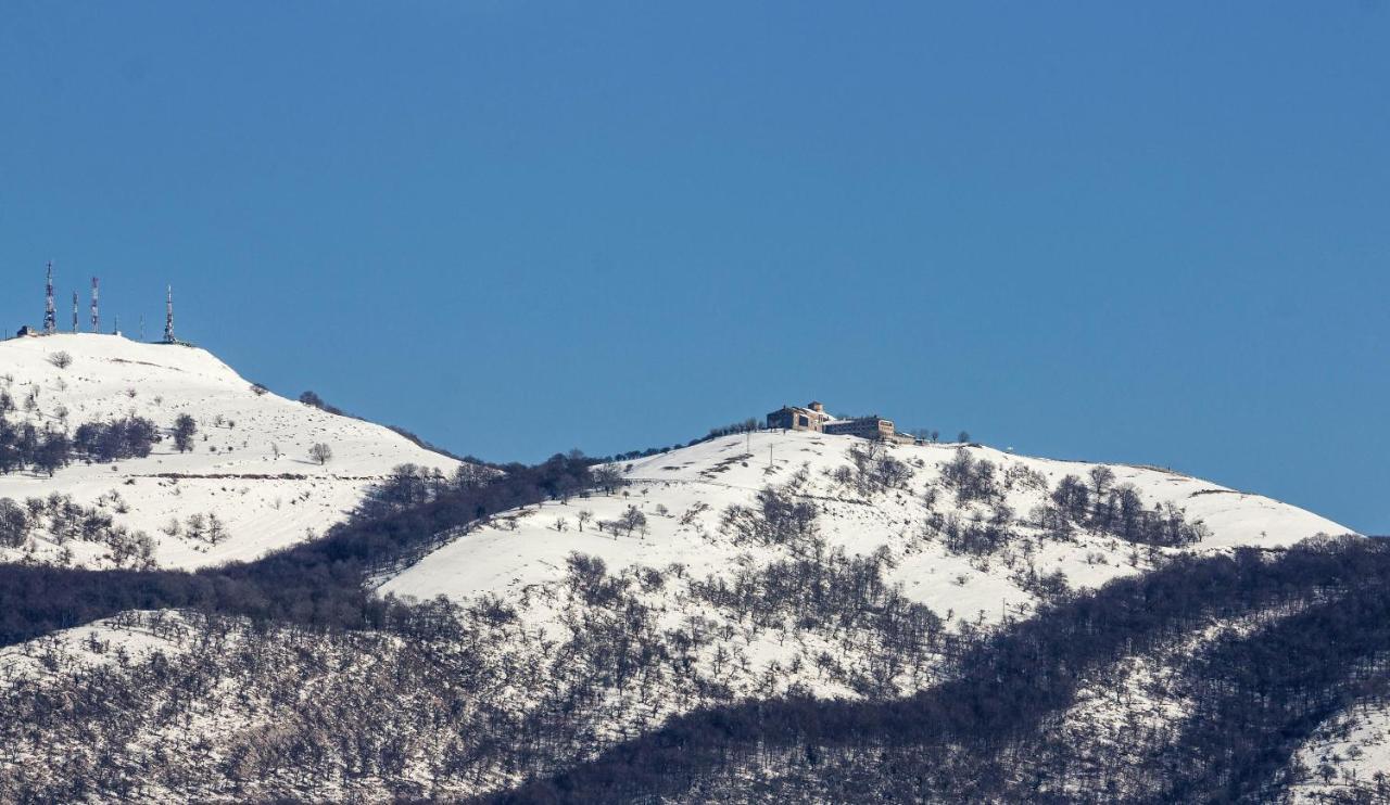 Apartment Herri Ondo Refugio Climatico *