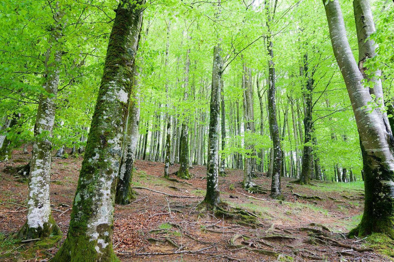 Apartment Herri Ondo Refugio Climatico Iturmendi