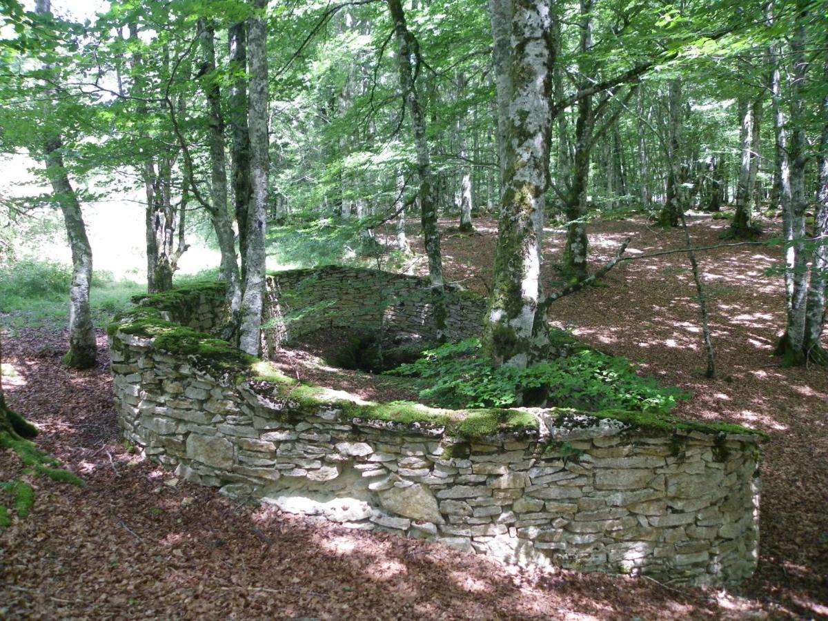 Herri Ondo Refugio Climatico Apartment