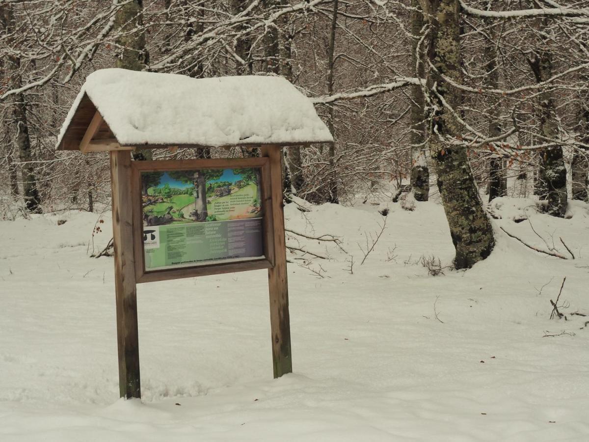 Herri Ondo Refugio Climatico * Iturmendi