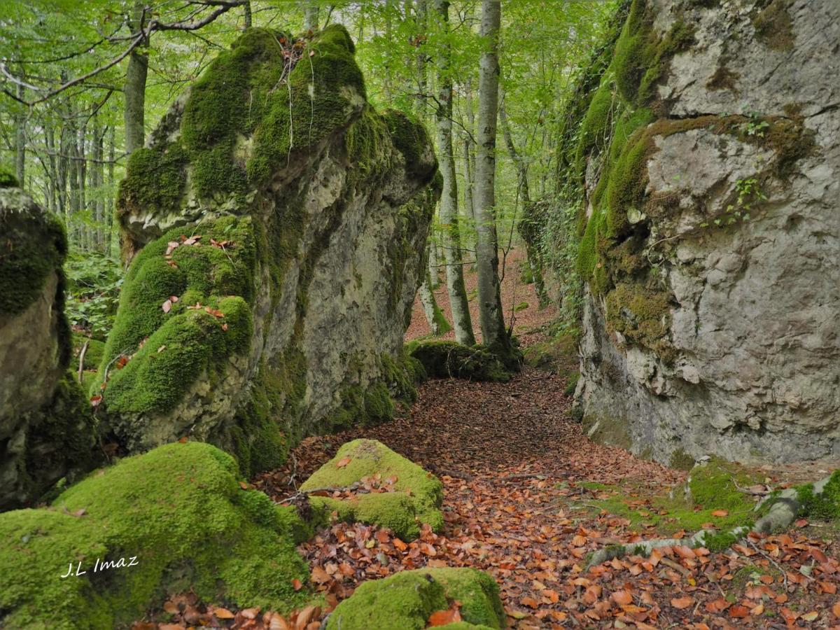 Herri Ondo Refugio Climatico Apartment Iturmendi