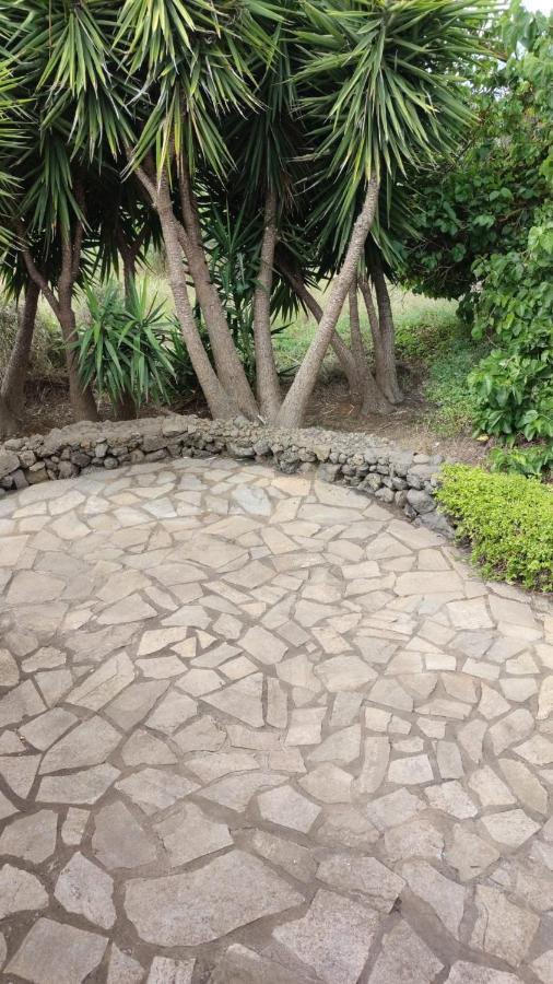 Agradable Casa Palmera Con Preciosas Vistas Сasa de vacaciones *