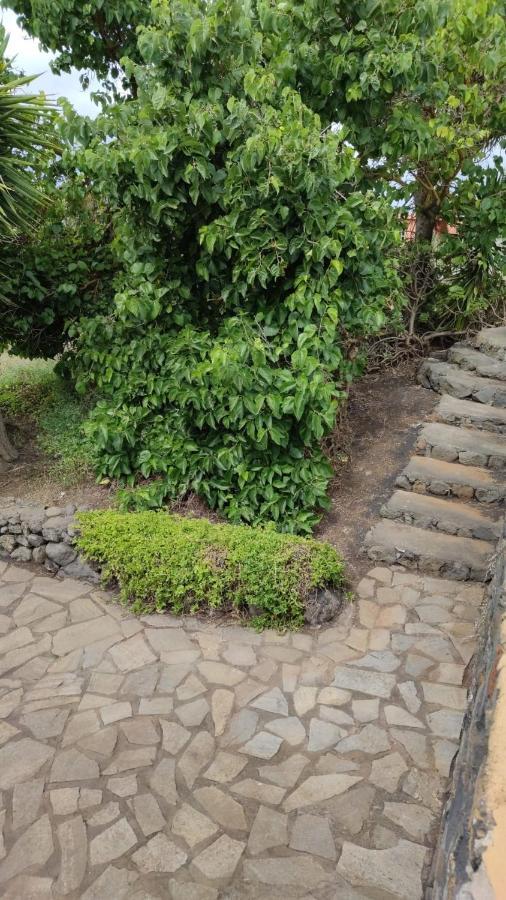 Agradable Casa Palmera Con Preciosas Vistas *
