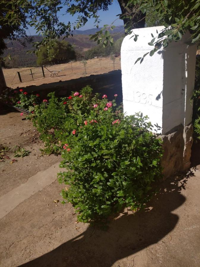 Casa El Tio Juan *