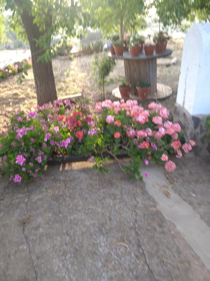 Casa El Tio Juan Сasa de vacaciones *