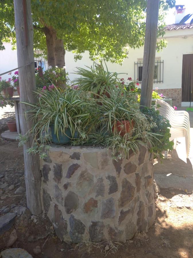 Casa El Tio Juan Cumbres de San Bartolomé