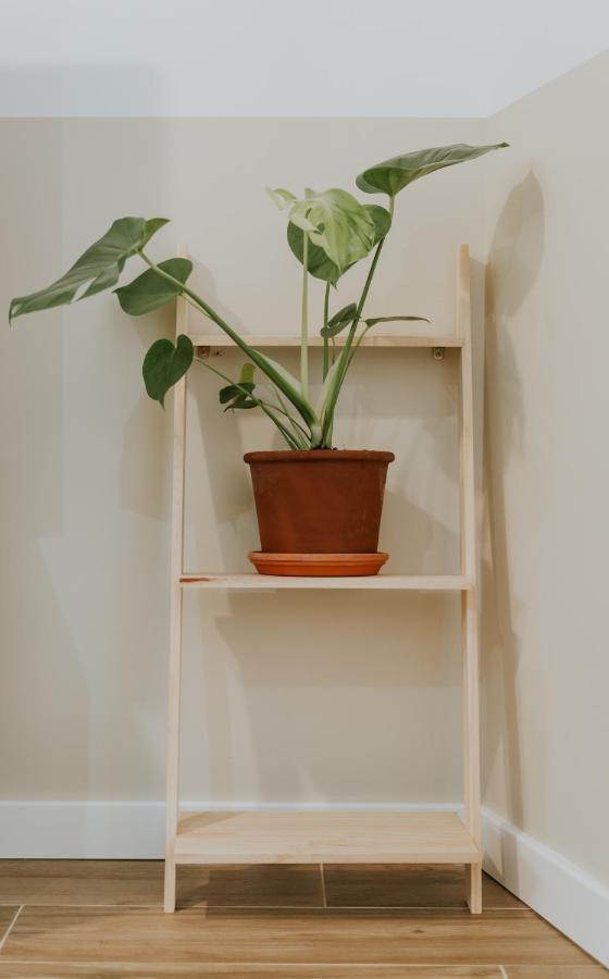 Apartment Natural Passivhaus *