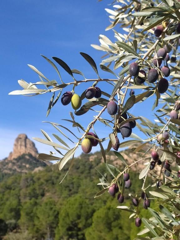 Сasa de vacaciones Mas De La Vall Del Frare