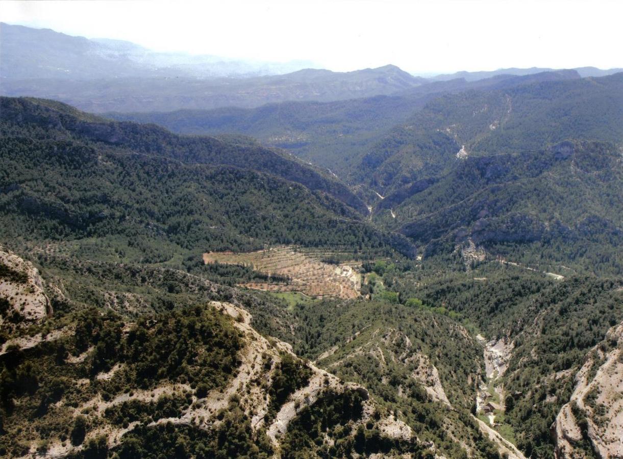 Mas De La Vall Del Frare Сasa de vacaciones *
