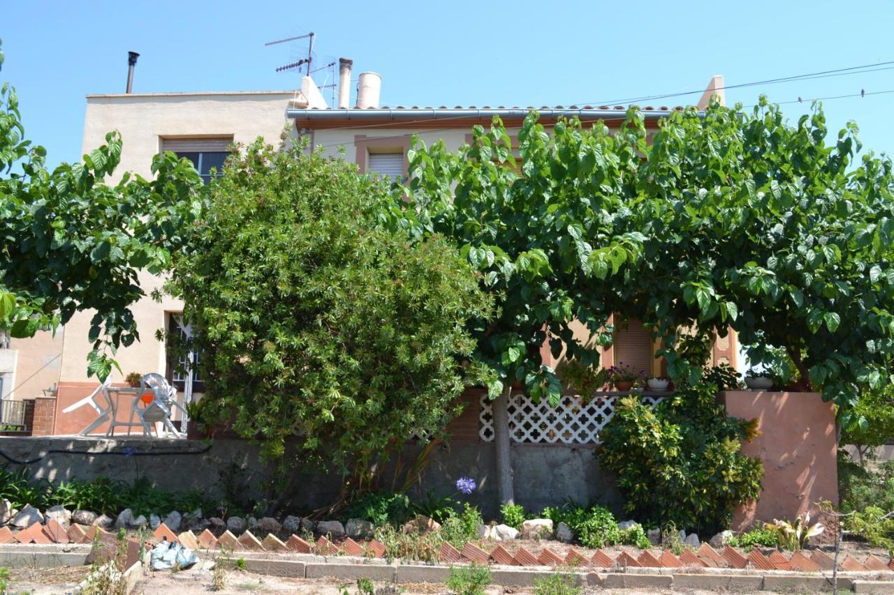 Casa M Cinta Deltebre