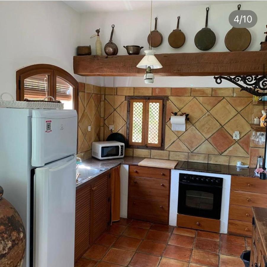 Apartment La Washingtonia