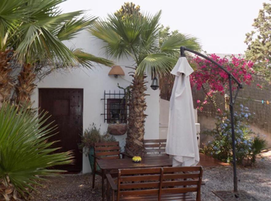 Apartment La Washingtonia *