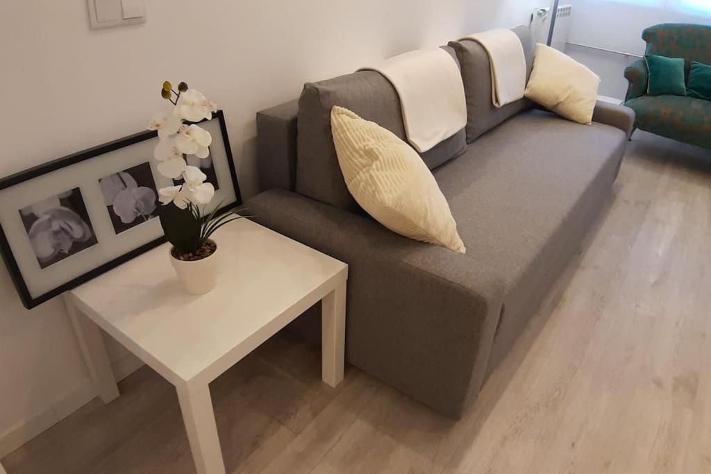 Apartamento Lovinburgos Amaras Y Volveras Burgo