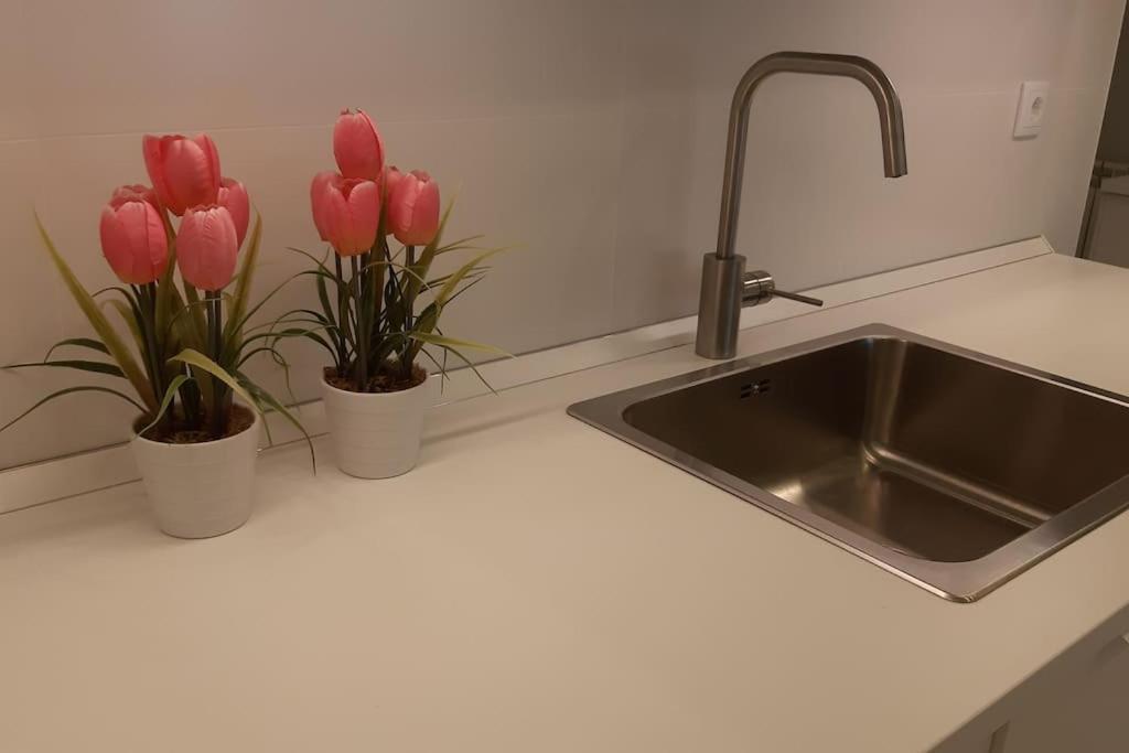 Apartamento Lovinburgos Amaras Y Volveras Burgo