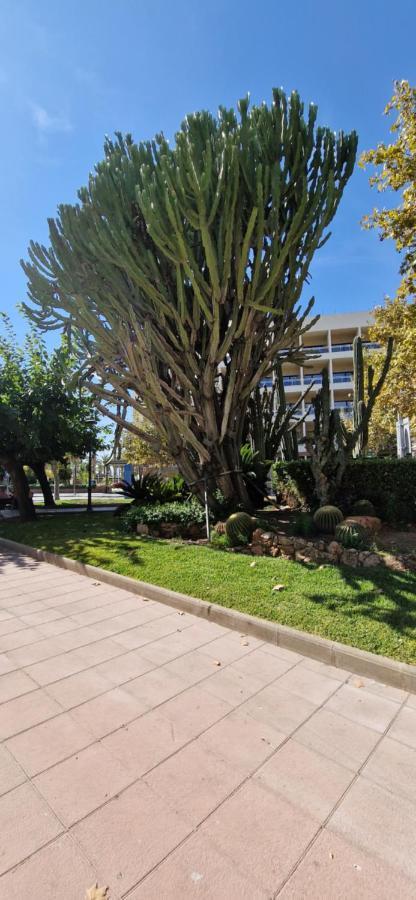 Apartment Dorada Mar Salou