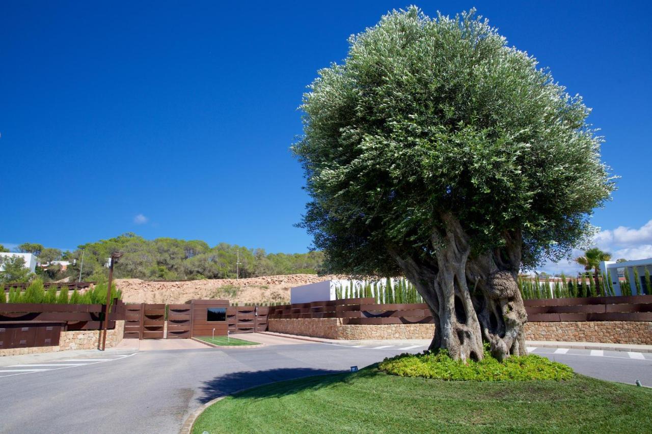 Contemporary Ibizan Villa Cala Conta Dream Short Walk To Beach San Jose Villa Cala Comte (Cala Conta)