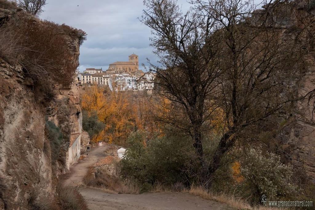 Adarbe * Alhama de Granada