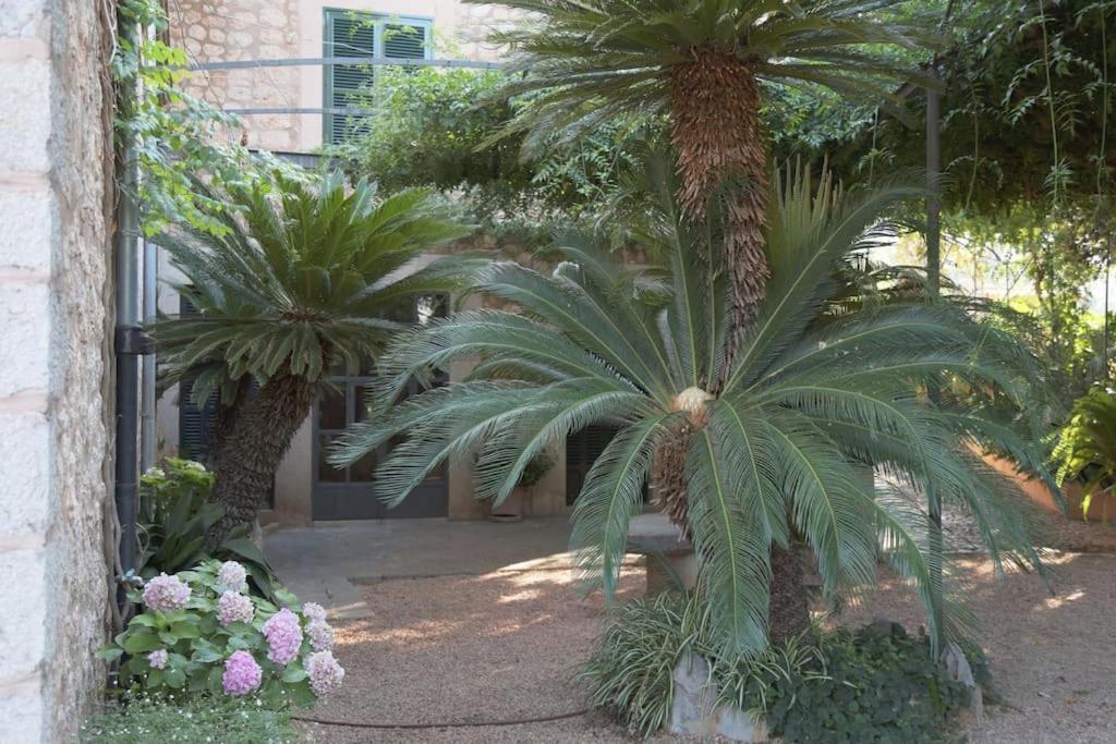 Villa Massana, Excelentes Vacaciones Con Piscina