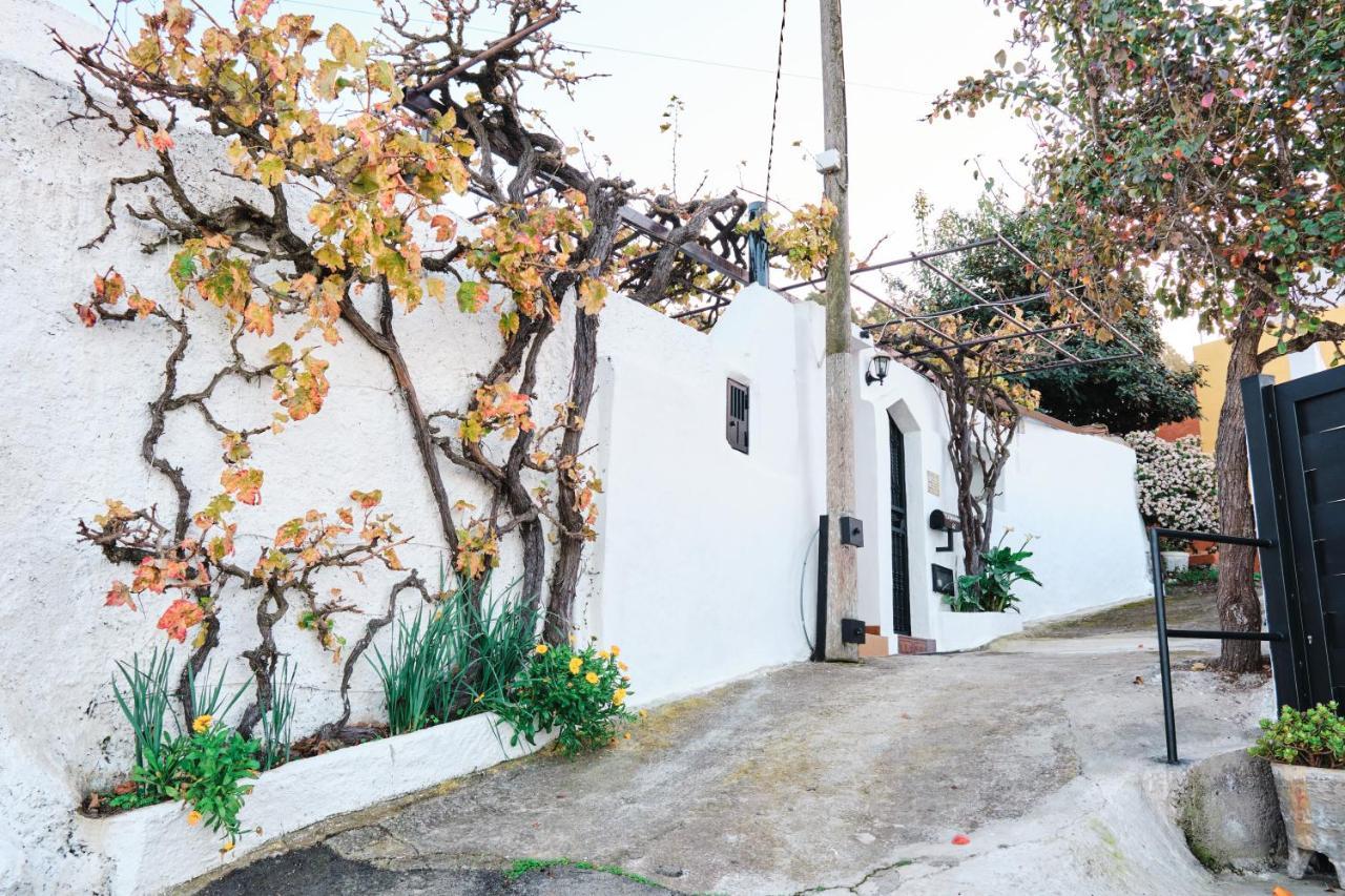 La Garrocha Icod De Los Vinos