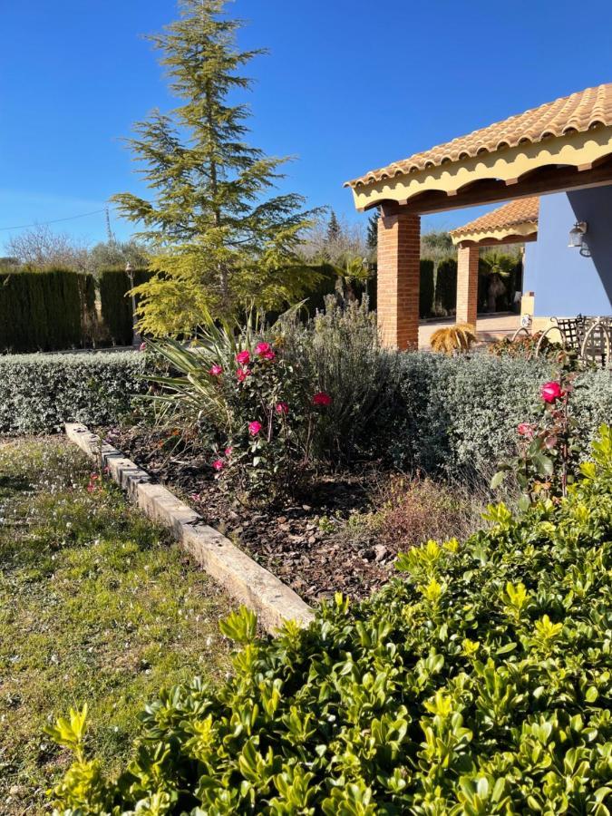 Apartamento Attic Nature En Albacete *