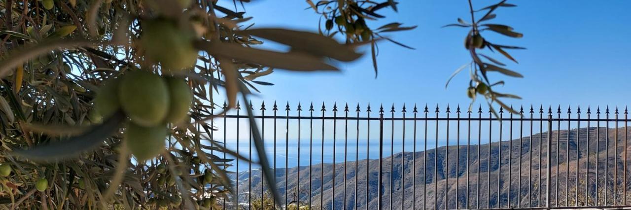 Cortijo Blanco