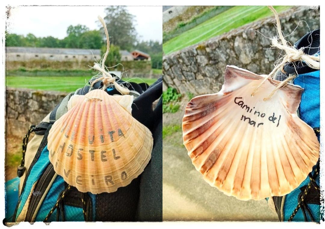 Oli Con Encanto Viveiro