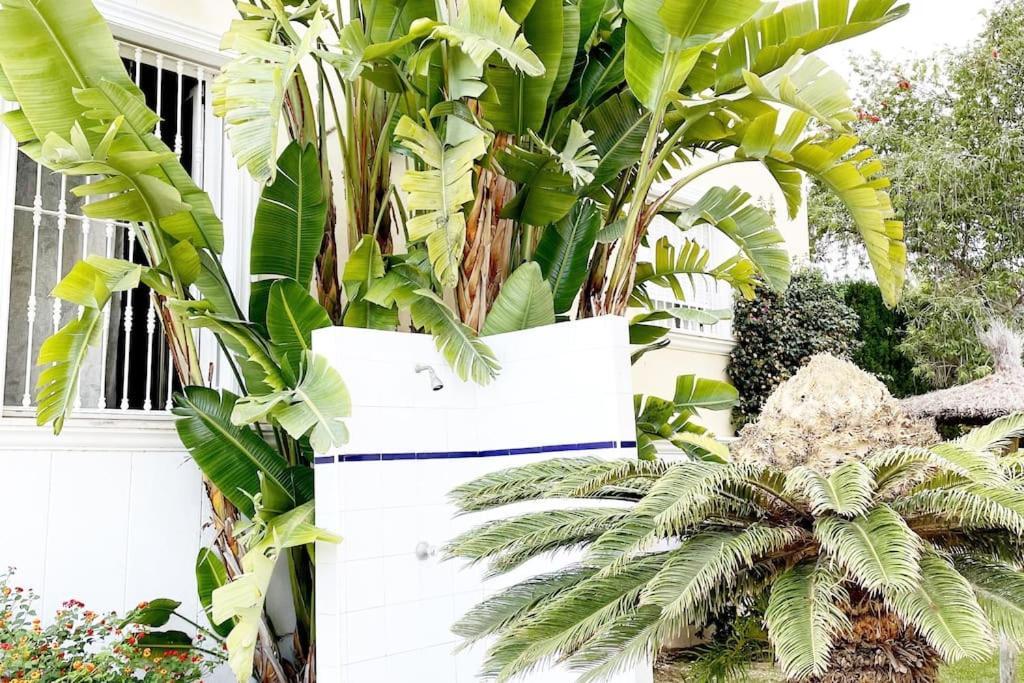 Penthouse Apartamento Jávea