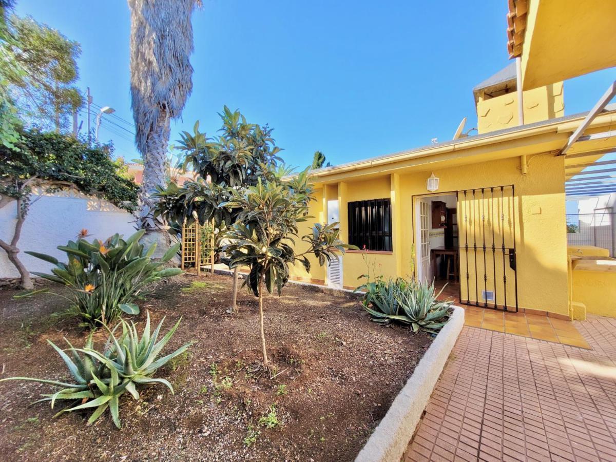 Villa Flores Y Sol Tacoronte