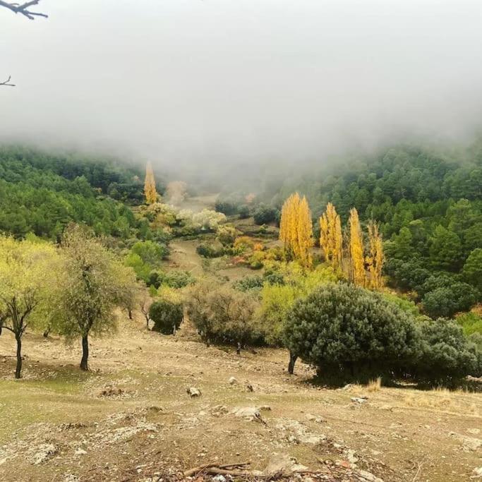 Preciosa Casita Rural En La Sierra De Segur A, Cazorla Y Сasa de vacaciones *