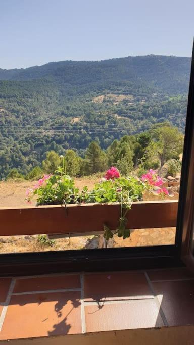 Preciosa Casita Rural En La Sierra De Segur A, Cazorla Y Pontones (Andalucia)