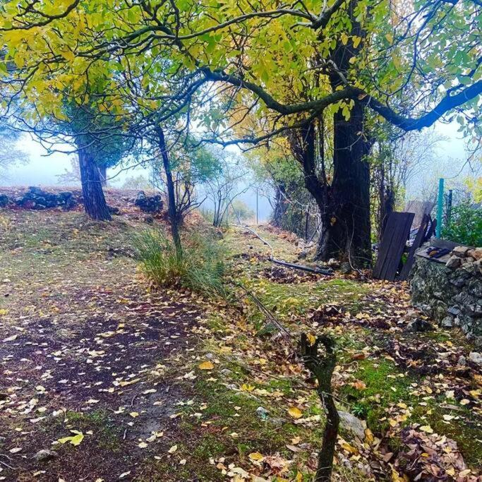 Preciosa Casita Rural En La Sierra De Segur A, Cazorla Y *