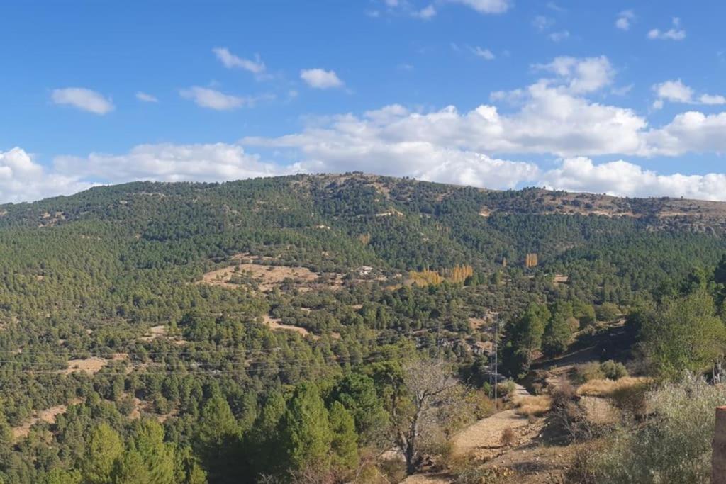 Preciosa Casita Rural En La Sierra De Segur A, Cazorla Y Сasa de vacaciones Pontones (Andalucia)