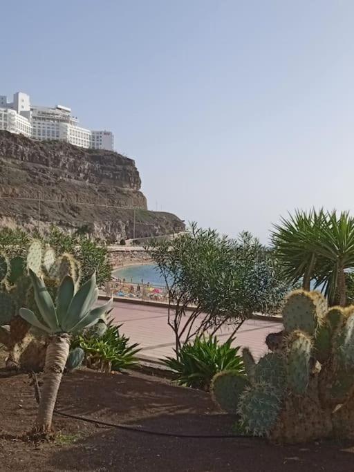 With Pool View