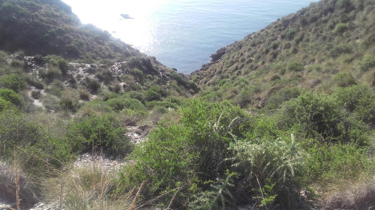 Bord De Mer-aguilas * Calabardina
